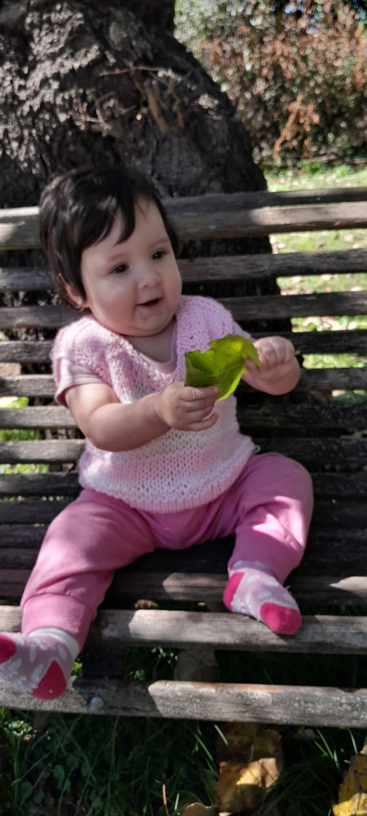 WhatsApp Image 2025-04-02 at 12.11.22.jpeg